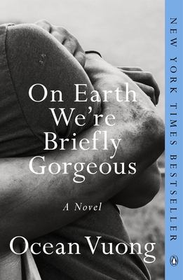 Cover image for On earth we're briefly gorgeous : a novel
