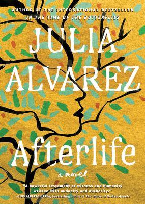 Cover image for Afterlife: a novel