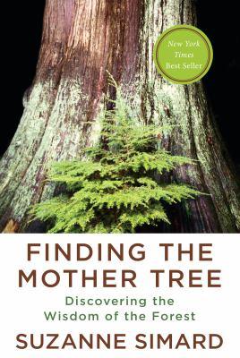 Finding the Mother Tree