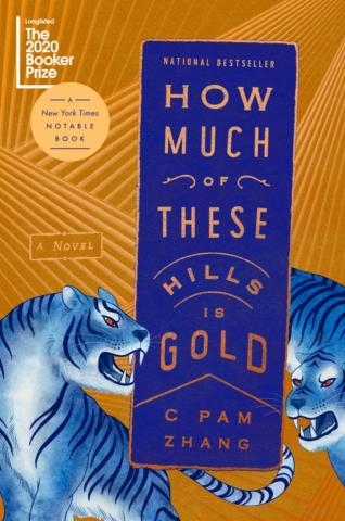 Book cover image of How Much of These Hills is Gold