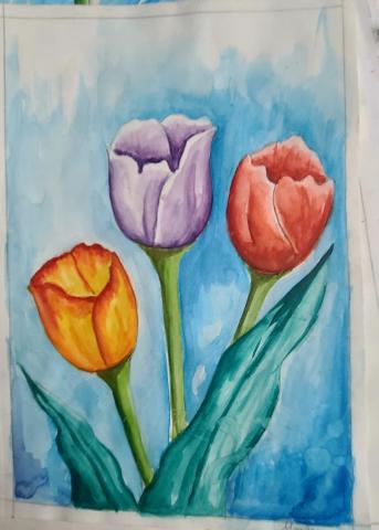 Tulips