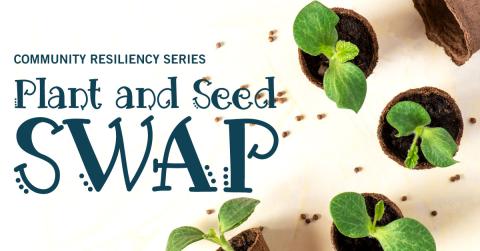 Plant and Seed Swap photo