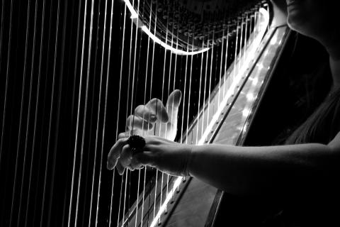 photo of person playing harp