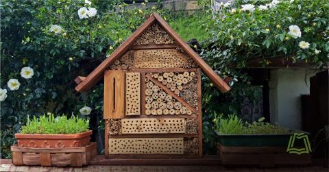 Bee house