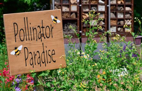 Sign in garden with words Pollinator Paradise 