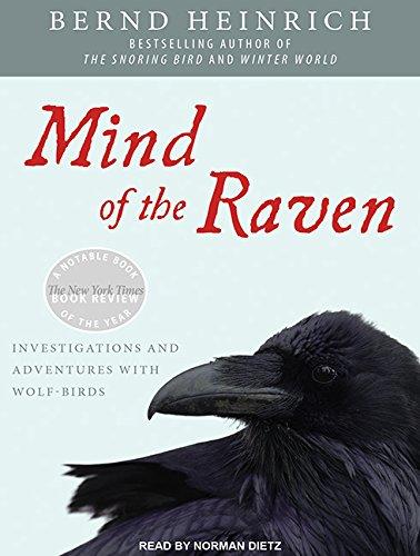 Mind of the Raven