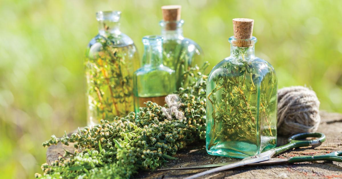 photo of glass jars filled with liquid and various herbs