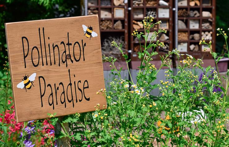 Sign in garden with words Pollinator Paradise