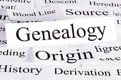 Genealogy